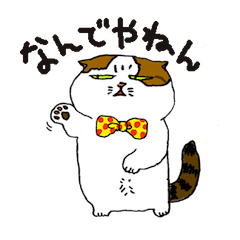[LINEスタンプ] 町田尚子の猫スタンプ 白木ピッピ 大阪弁の画像（メイン）
