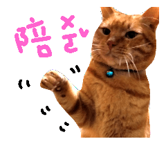 [LINEスタンプ] cat my love