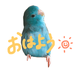 [LINEスタンプ] キキそら（1）