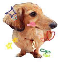 [LINEスタンプ] 赤くてまるくてながい犬