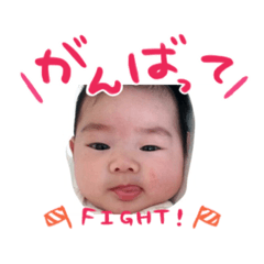 [LINEスタンプ] ひまわりとしん