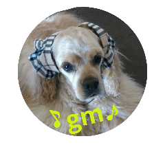 [LINEスタンプ] American Cocker Spaniel mopuSTAMP2