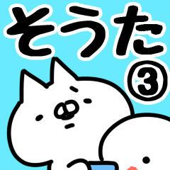 [LINEスタンプ] 【そうた】専用3