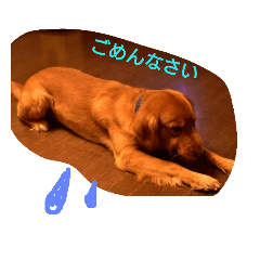 [LINEスタンプ] はじめまして、びーです。