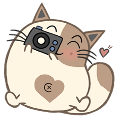 [LINEスタンプ] Mee Tang Fat Cat