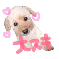 [LINEスタンプ] lovely my dog.