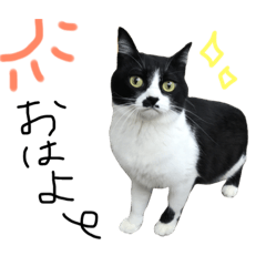 [LINEスタンプ] にーにと小夏とひなた