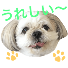 [LINEスタンプ] ChobiTaun