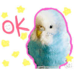 [LINEスタンプ] はむちゃん(インコ)