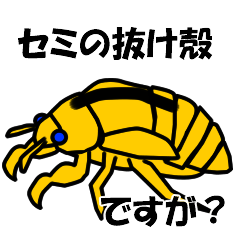 [LINEスタンプ] セミの抜け殻ですが？