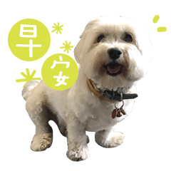 [LINEスタンプ] 99Dog daily