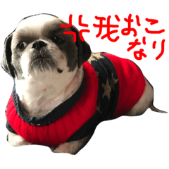[LINEスタンプ] rikuchannnn 