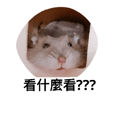 [LINEスタンプ] The lovely hamster