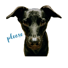 [LINEスタンプ] Black dog_Phifer