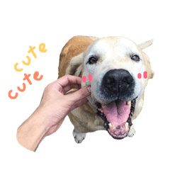 [LINEスタンプ] Kati is happy