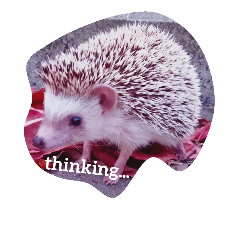[LINEスタンプ] h-e-d-g-e-h-o-g