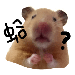 [LINEスタンプ] cuteee hamsterの画像（メイン）