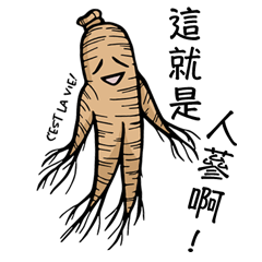 [LINEスタンプ] A Ginseng's Life Guides