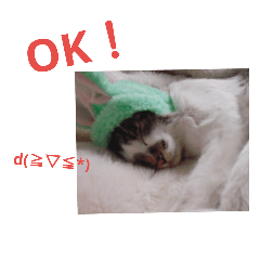 [LINEスタンプ] 猫のみぃやくん1