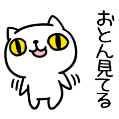 [LINEスタンプ] おとんの毎日使える日常会話（ネコ）