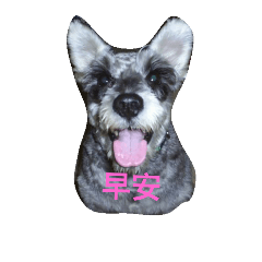 [LINEスタンプ] PPISMEDOG