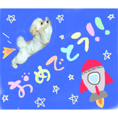 [LINEスタンプ] まるぱぴの りーぷさん