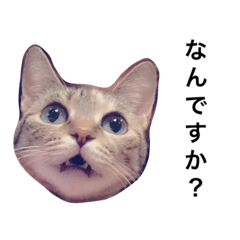 [LINEスタンプ] Harry、時々Sirius