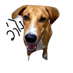 [LINEスタンプ] Dog-_-