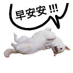 [LINEスタンプ] stupid white dog