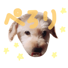 [LINEスタンプ] lovely my dog.ver2