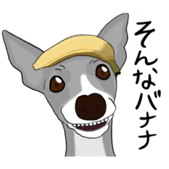 [LINEスタンプ] イタグレ キャンリィず スタンプ 4