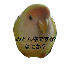 [LINEスタンプ] こざくらず