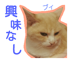 [LINEスタンプ] chatran.K