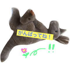 [LINEスタンプ] ペコのカンガルー