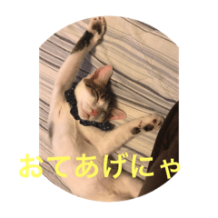 [LINEスタンプ] もものもものすけ