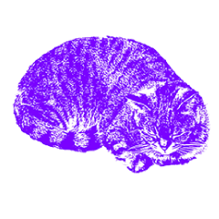 [LINEスタンプ] Colorful cat images_6の画像（メイン）