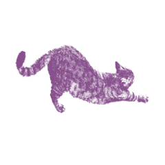 [LINEスタンプ] Colorful cat images_7の画像（メイン）