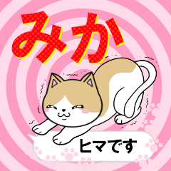 [LINEスタンプ] 超★みか(ミカ)な吹き出しネコスタンプ