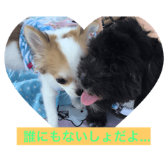 [LINEスタンプ] chachamaru＆kei   mainichi Photo1