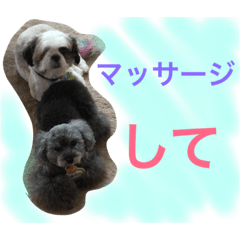 [LINEスタンプ] かわいこちゃん 1