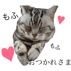 [LINEスタンプ] 毎日もふもふ