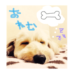 [LINEスタンプ] もふもふえいとくん