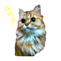 [LINEスタンプ] chinchilla ^_^cat