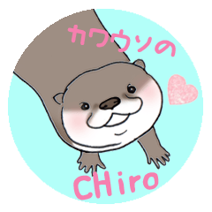 [LINEスタンプ] コツメカワウソのチロ（千代丸）