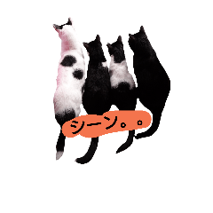 [LINEスタンプ] 4兄妹猫達の日常の画像（メイン）