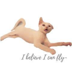 [LINEスタンプ] I'm Fayla2