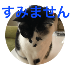 [LINEスタンプ] 敬語バージョン