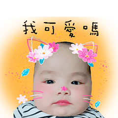 [LINEスタンプ] Small Liang Liang