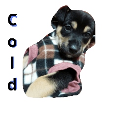 [LINEスタンプ] My dog is tiny