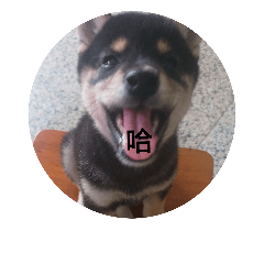 [LINEスタンプ] halu8777